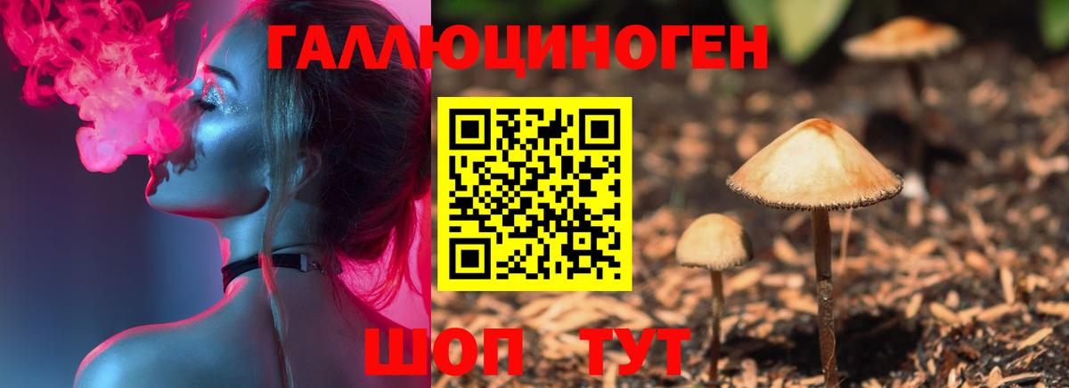 Бердск  купить наркотики сайты  Вход с VPN  Псилоцибиновые грибы Psilocybine cubensis 